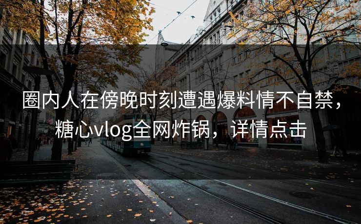 圈内人在傍晚时刻遭遇爆料情不自禁，糖心vlog全网炸锅，详情点击